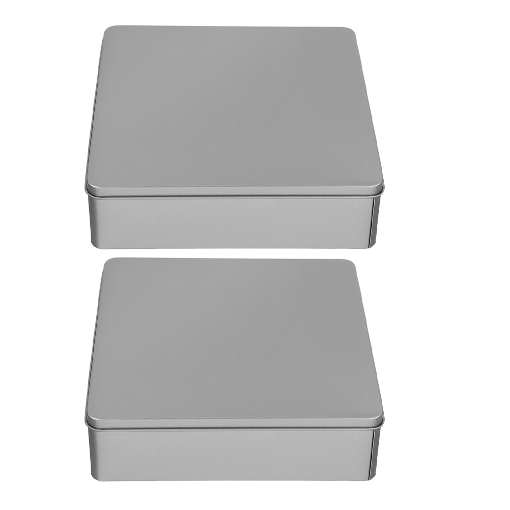 GLEAVI 2 scatole per biscotti portatili in latta di grande capacità con coperchi ermetici lattine per biscotti in metallo extra large per la conservazione della cucina tè prodotti da forno eleganti