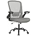 Produktbild SONGMICS Bürostuhl, Schreibtischstuhl, Drehstuhl mit Netzbespannung, ergonomisch, gepolsterte Lendenstütze, Wippfunktion, 53 cm große Sitzfläche, klappbare Armlehnen, Taubengrau OBN037G01