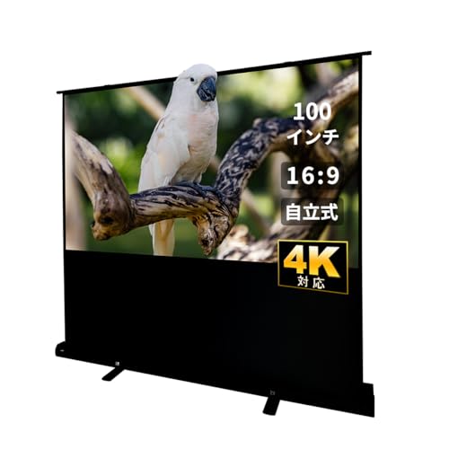 Amazon | RAKU プロジェクタースクリーン 自立式 100インチ 16:9