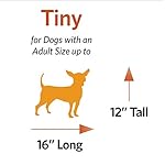 MidWest Homes for Pets Pet Carrier: Hard-Sided Dog Carrier, Cat Carrier, Small Animal Carrier in Green | Inside Dims 17.91L x 11.5W x 12H & Suitable for Tiny Dog Breeds (Pack of 1) - Image 5