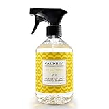 Caldrea Sea Salt Neroli Countertop Spray Surface Cleaner 16 oz