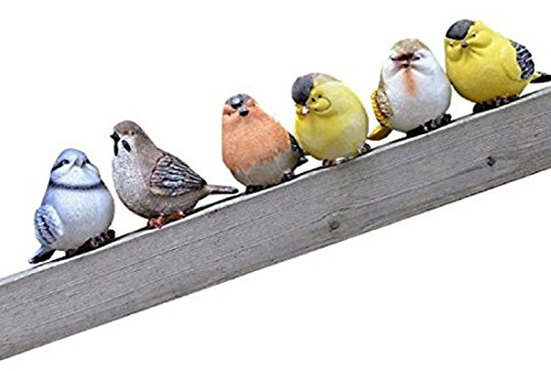 「Shikyo Japan」 Garden Ornament Cute Small Bird (Six Small Birds)