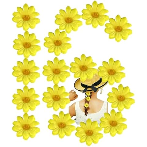 HOVUK Easter Daisy Flowers for Decorations Cover