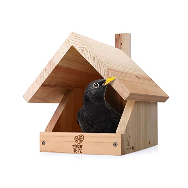 wildtier herz I Amsel Nistkasten aus verschraubtem Massiv-Holz - 25 x 28.5 x 27 cm, Wetterfest & Unbehandelt, Vogelhaus…