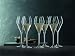 Spiegelau Champagner Gläser Sparkling Party 230ml, 6 Stück, Special Glasses, 4270329, Sektgläser aus Kristallglas, Champagnergläser spülmaschinenfest