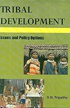 Tribal development issues and policy options