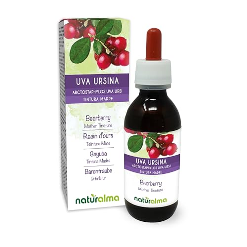 Gayuba o Uva ursi (Arctostaphylos uva ursi) hojas Tintura Madre sin alcohol Naturalma - Extracto líquido gotas 120 ml - Complemento alimenticio - Vegano