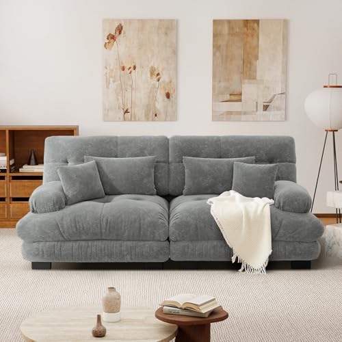 SoarFlash Modular 2 Seater Sofa for Modern Living Room - Chenille...
