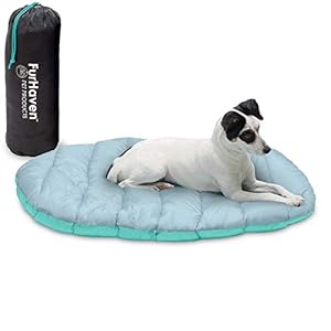 Furhaven Outdoor Travel Dog Bed for Small Dogs w/ Carry Bag, Washable & Foldable, Great for Crates & Kennels – Trail Pup Travel Pillow Mat w/ Stuff Sack Bag – Aqua/Granite Gray, Small