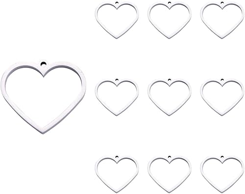 Cheriswelry Colgantes de bisel abierto de acero inoxidable 304 con forma de corazĂłn hueco, con marco de corazĂłn hueco, dijes de flores prensadas de Cheriswelry Colgantes de bisel abierto de acero inoxidable 304 con forma de corazĂłn hueco, con marco de corazĂłn hueco, dijes de flores prensadas de