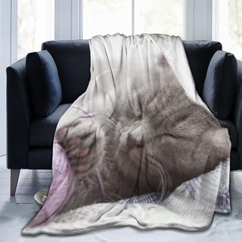 L ueBbVV[gwA  Q ѕz Aj Ђ| y  uPbg tl 􂦂 ÓdCh~ g _炩 Ȃ߂炩ȔG lGKp 킢 ObY LN^[ 100cm×125cm