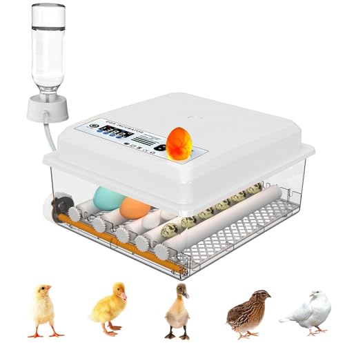 Umisu Incubateur d'oeufs Automatique 12-16 Oeufs, Couveuse avec Contrôle de Température, Rouleaux Réglables, Ajout d'Eau Automatique et Mire-Oeuf Intégré,...