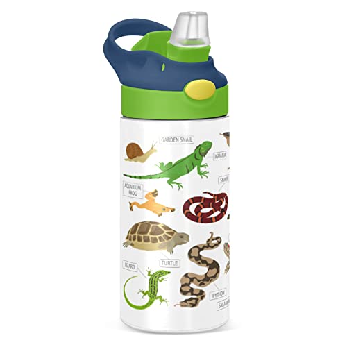 Green and Brown Pet Reptiles Frog Iguana Lizard Snake Newt Turtle Tumbler with Lid & Straw, Boys Girls Stainless Steel Double Wall Cup Water Bottle BPA-Free Vacuum Insulated Thermal Mug 11.8 Oz