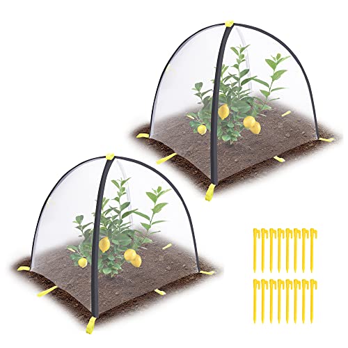 2 Pcs Insect Barrier Plant Tent Cover-22 X 22 X 23 Inch Bug Guard Cover With Stakes-Insect Bird Barrier Netting Mesh For Protect Vegetable Plants Fruits Flowers From Birds Animal Eating #TOP26