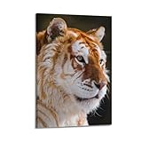 okngb poster decorativo da parete su tela, raro motivo tigre del bengala dorata, poster decorativo moderno per camera da letto, per camera da letto, 30 x 45 cm