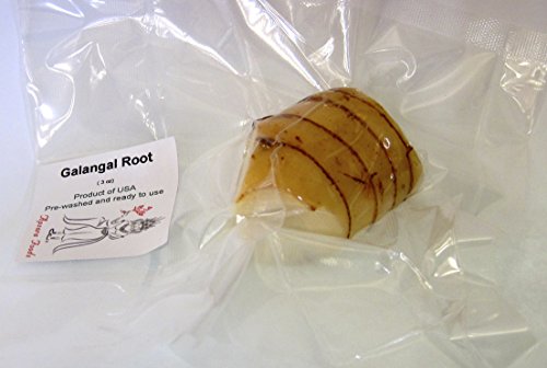 Galangal Root (Fresh & Pre-washed) 3.5 to 4 Ounces