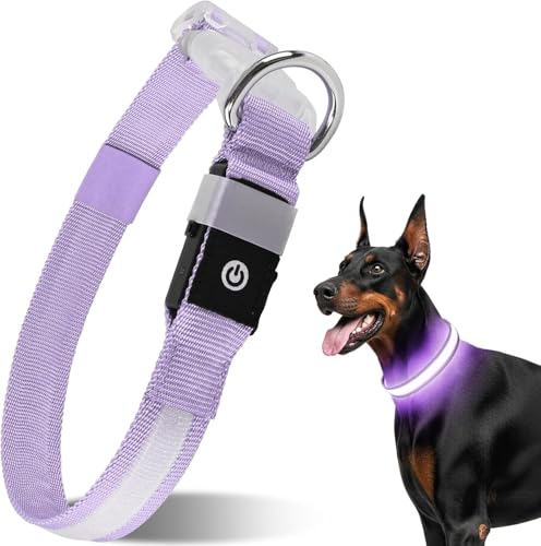 CAWJUG Dog Light up Collar