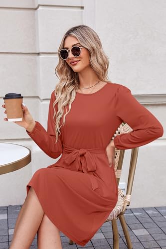 Image of Newshows Womens Long Sleeve Casual Dresses 2025 Business Work Teacher Fall Church Belted A Line Flowy Midi Dress