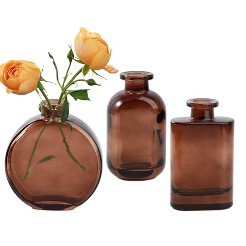 Liemuao Set mit 3 kleinen Glasvasen, Tischvasen, dekorative Vase, 3...