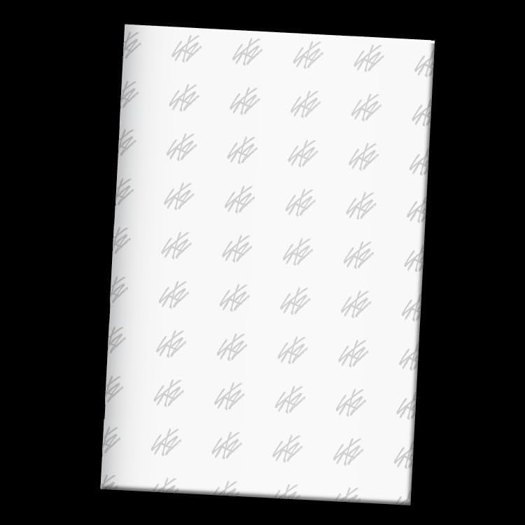 Stray-kids - 10th Mini Album THIS & THAT & Ver. CD+Pre-Order Gift, Han ver.