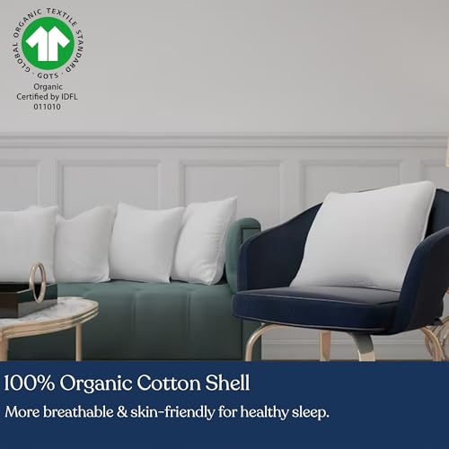 Delara-Premium-Organic-Cotton-Pillow-Insert-Set-of-2-100-White-Duck-Feather-Filling-Down-Proof-Organic-Cotton-Indoor-Throw-Pillows-Insert-for-Couch-Sofa-Bed-28X28 Delara Premium Organic Cotton Pillow Insert Set of 2 100 White Duck Feather Filling Down Proof Organic Cotton Indoor Throw Pillows Insert for Couch Sofa Bed 28X28