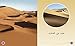 Collins Big Cat Arabic – In the desert: Level 6