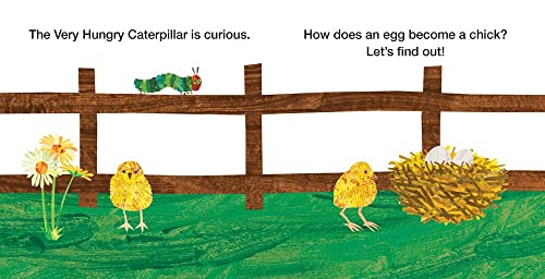 How Does an Egg Hatch?: Life Cycles with The Very Hungry Caterpillar (The World of Eric Carle) - Image 2