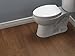 Delta Faucet Sanborne Elongated Nightlight Toilet Seat - 813902-N-WH - Comfortable, Soft-Close Toilet Seat with Convenient Quick-Release Technology - White