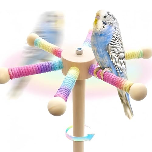 Roue d'exercice pour oiseau interactive et résistante aux coups de bec - 7