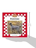 Zoom IMG-1 pointers