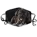 Produktbild Gesichtsbedeckung,Staubschutzhaube,Nasenabdeckung,Winddichte Abdeckung,Mundschutz,Mundabdeckung,Niedlicher Hund Atmungsaktiv,Gesichtsschutz,Nasenschutz,Anti-Verschmutzung