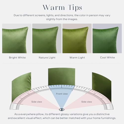 Image of Phantoscope Pack of 2 Velvet Decorative Throw Decorative Pillow Cover Soft Solid Square Cushion Case for Couch Green 18 x 18 inches 45 x 45 cm