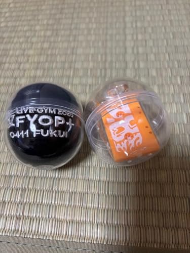B'z LIV E-GYM 2026 FYOP+������K�`���@