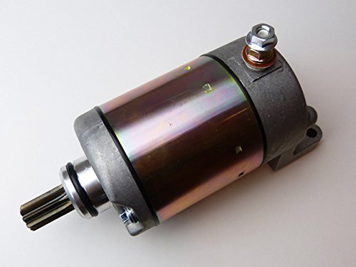 Starter Beeline Bestia 5.5/Online x 5.5