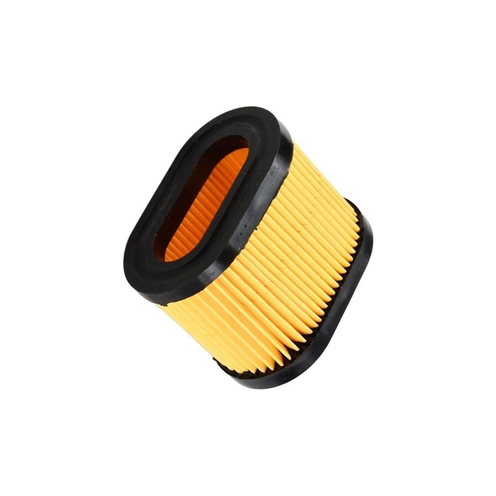 Filtre 100-317 36745 pour moteurs LEV115 LEV120 OVRM60
