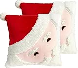 Arciveberg 2Pcs Christmas Pillow Covers 18x18 Inch - Santa Claus Theme Square 3D Embroidered Velvet Pillowcases, Fun Winter Indoor Decoration for Bed and Sofa