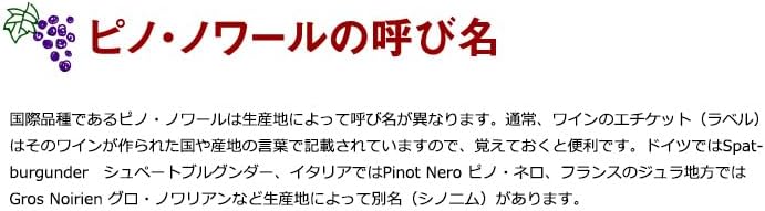 ブルゴーニュ 入り！ 世界 ピノ・ノワール 飲み比べ 750ml 【アンデゾン】 8本 セット