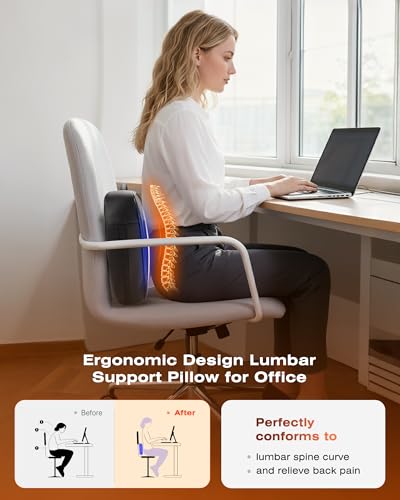Image of Back Massager for Pain Relief Deep Tissue with Heat - Shiatsu Kneading Back Massage for Chair, Neck Massagers Pad for Lower Back Leg Shoulder, Lumbar Support Pillow for Office Car, Gift for Men Women