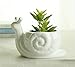 Youfui Snail Succulent Planter, Ceramic Animal Flower Pot for Home Office Desk Decor, Small Cactus Planter Pot, for Plant Lovers