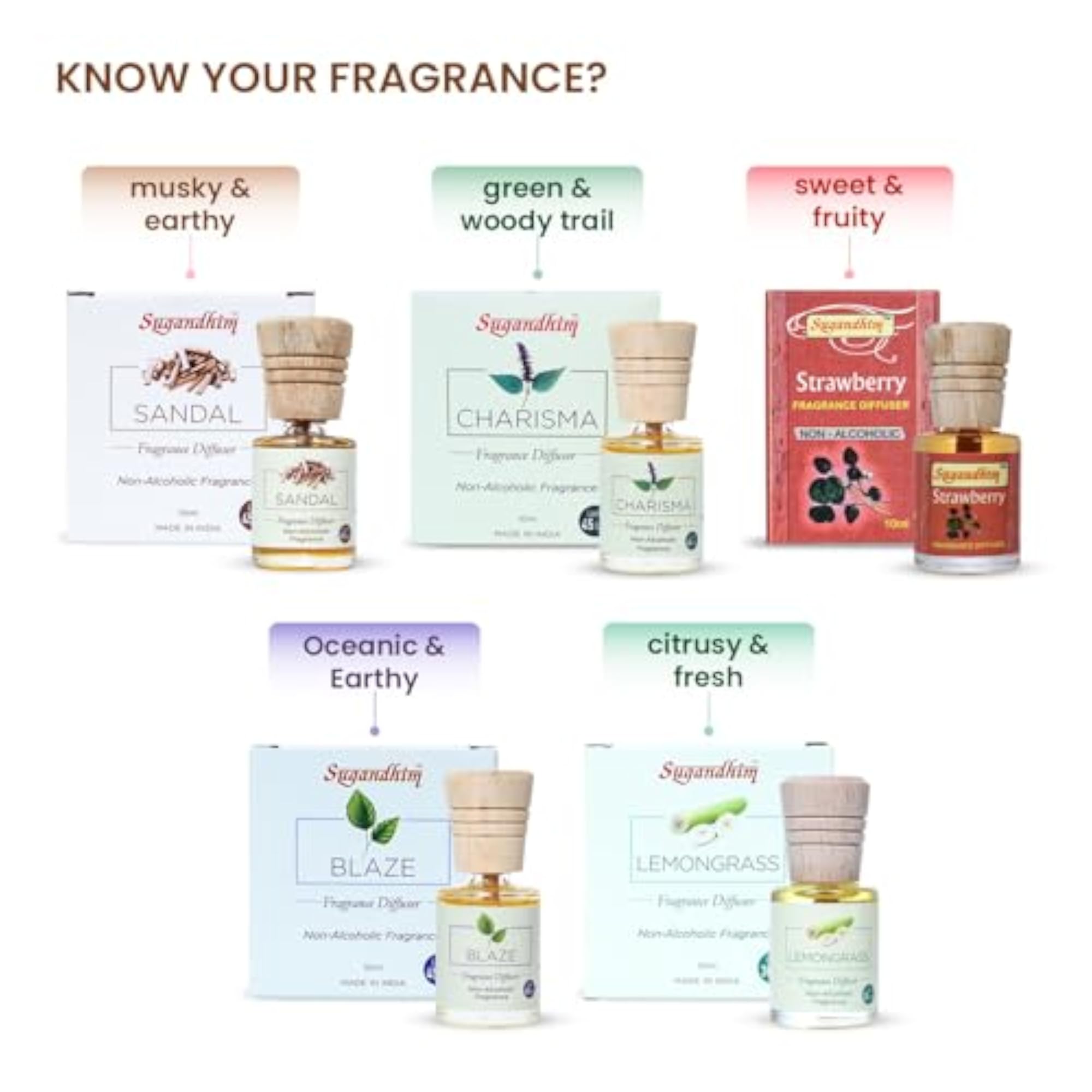 Fragrance Diffuser Oil Set, 5 x 10ml