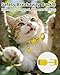 Joytale AirTag Cat Collar 2 Pack with Breakaway Safety Buckle, Reflective Cats Collar with AirTag Holder, Adjustable 7.5-12.5 Inch, Anti-Fraying Lightweight for Girl Boy Kitten, Yellow