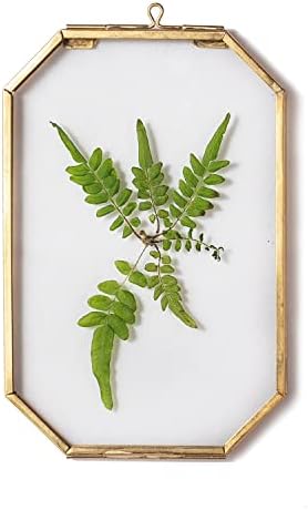NCYP Small Hanging Brass Glass Photo Frame, 10.2x15.3cm Octagon Frame for Pressed Dried Flowers Leaves, Double Glass Floating Frame Herbarium, Modern Handmade Wall Decor, Glass Frame Only