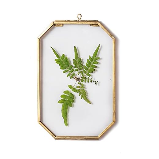 NCYP Small (4X6 Inches) Gold Glass Floating Frame for Display Pressed Dried Flowers, Hanging Octagon Clear Brass Frame for Plant Specimen Artwork Photo Picture, Wall DIY Decor (Glass Frame Only)