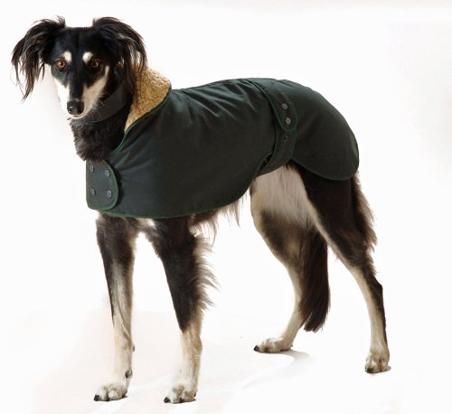 Cosipet Greyhound Hunter