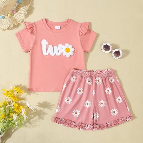 Infant Baby Girl Birthday Outfit Daisy Theme 1-2 Years Old Birthday Outfit Shirt Floral Shorts Set2