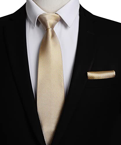 Image of HISDERN Polka Dot Ties for Men Classic Silk Ties and Pocket Square Formal Business Necktie Handkerchief Wedding Party
