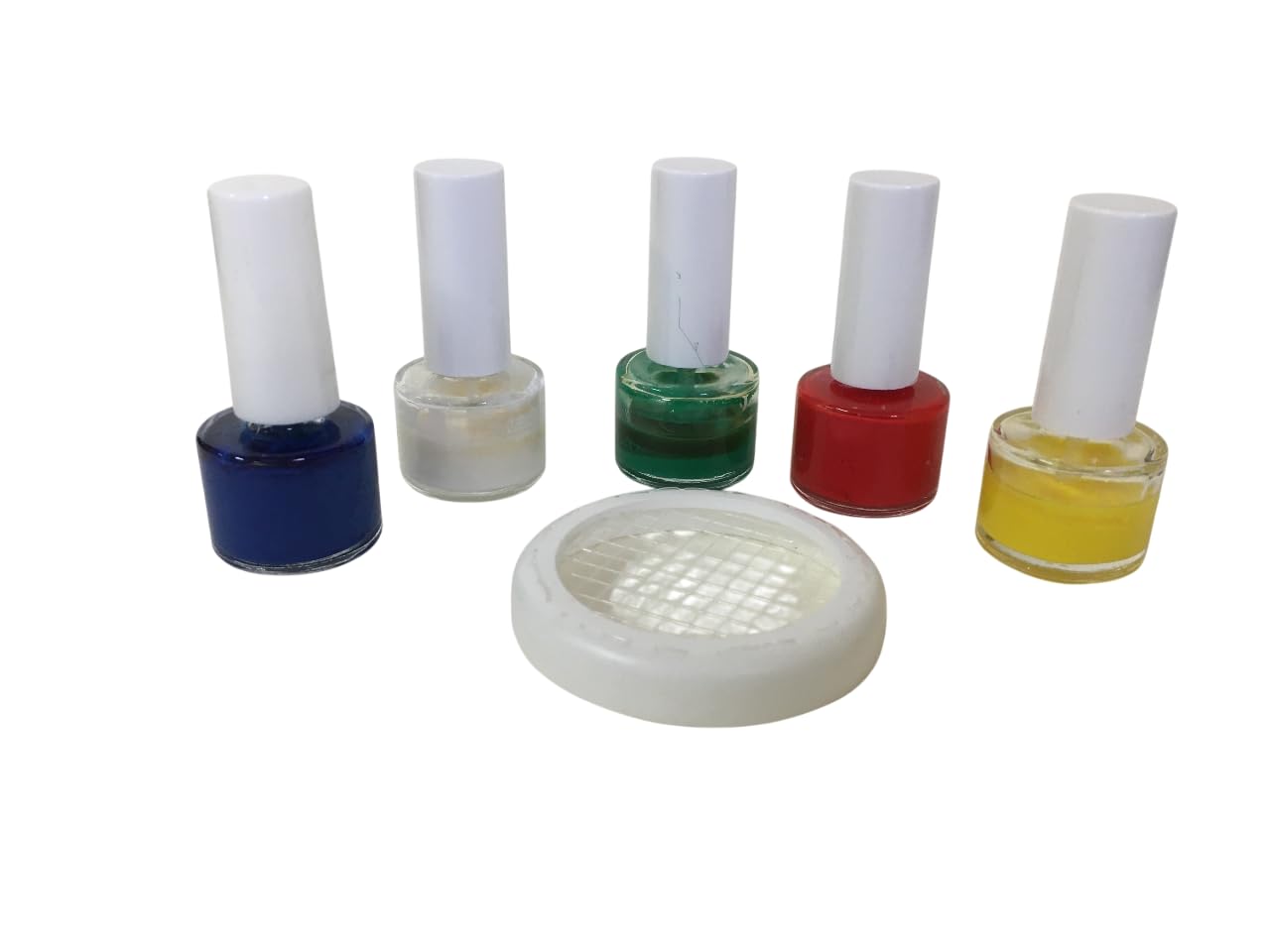 Marca Regine - 5 flaconi di Colore con Retina fermaregina