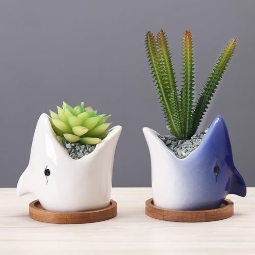 Pot pour plantes d'intérieur céramique TUSUOD finition premium - 7