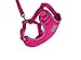 RC Pet Products Adventure Kitty Harness, Cat Walking Harness, Medium, Raspberry (53804014)