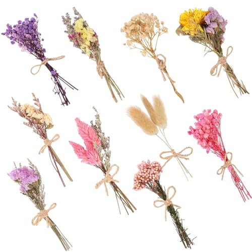 10 ramos de flores secas pequeñas para decoración y manualidades miniatura 4